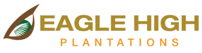Eagle High Plantations